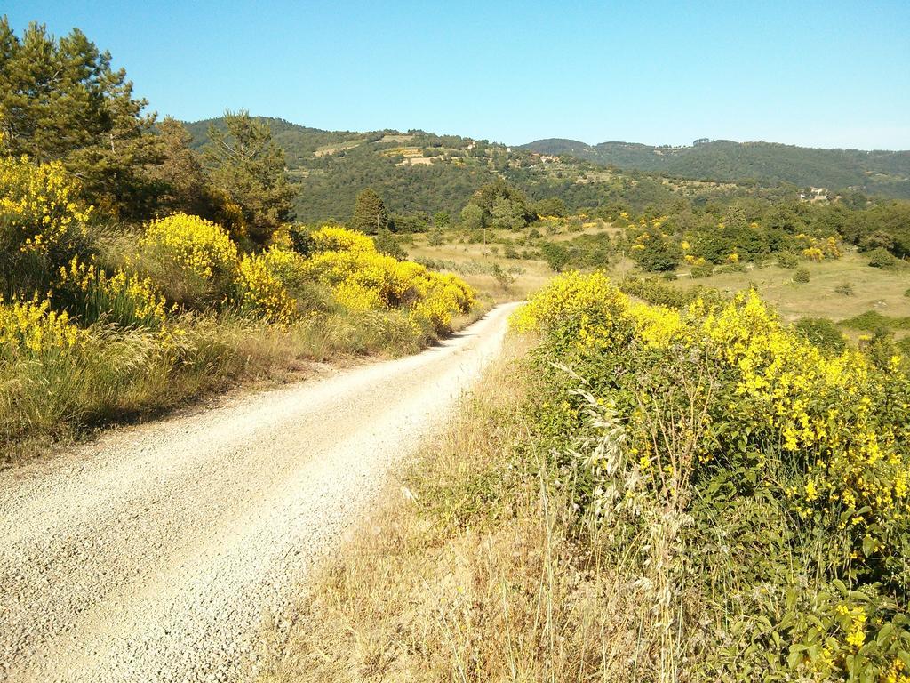 Forte Di Tregognano Chiaveretto Habitación foto